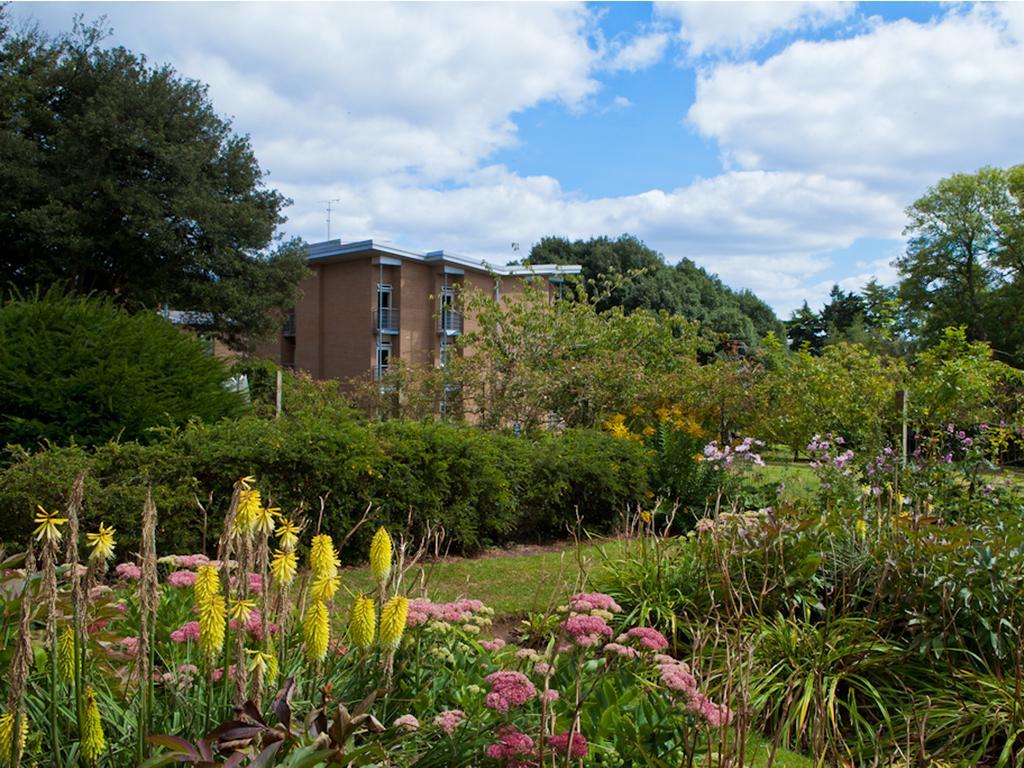 University Of Exeter - Pennsylvania Court Εξωτερικό φωτογραφία